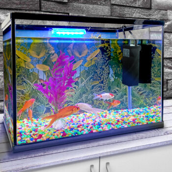 26 Litre Glass Fish Tank Aquarium