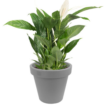 Light Grey 35cm Weatherproof Planter Flower Pot