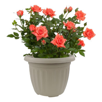 Taupe 30cm Athens Style Round Planter Flower Pot