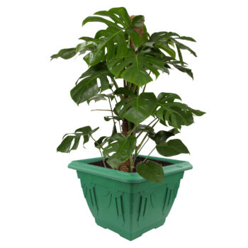 Green 41cm Venetian Style Square Planter Flower Pot
