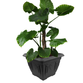 Black 41cm Venetian Style Square Planter Flower Pot