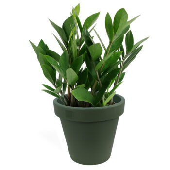 Green 20cm Weatherproof Planter Flower Pot